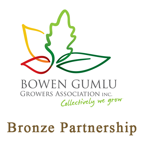 BGGA Partnership - Bronze