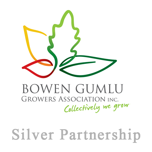 BGGA Partnership - Silver