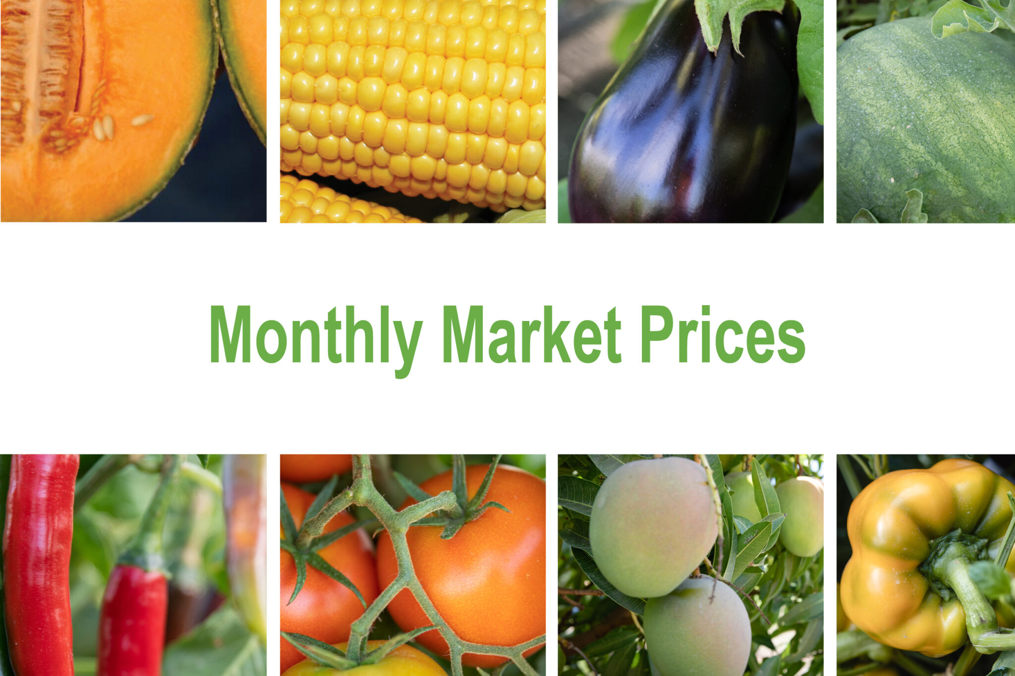 Monthly market prices