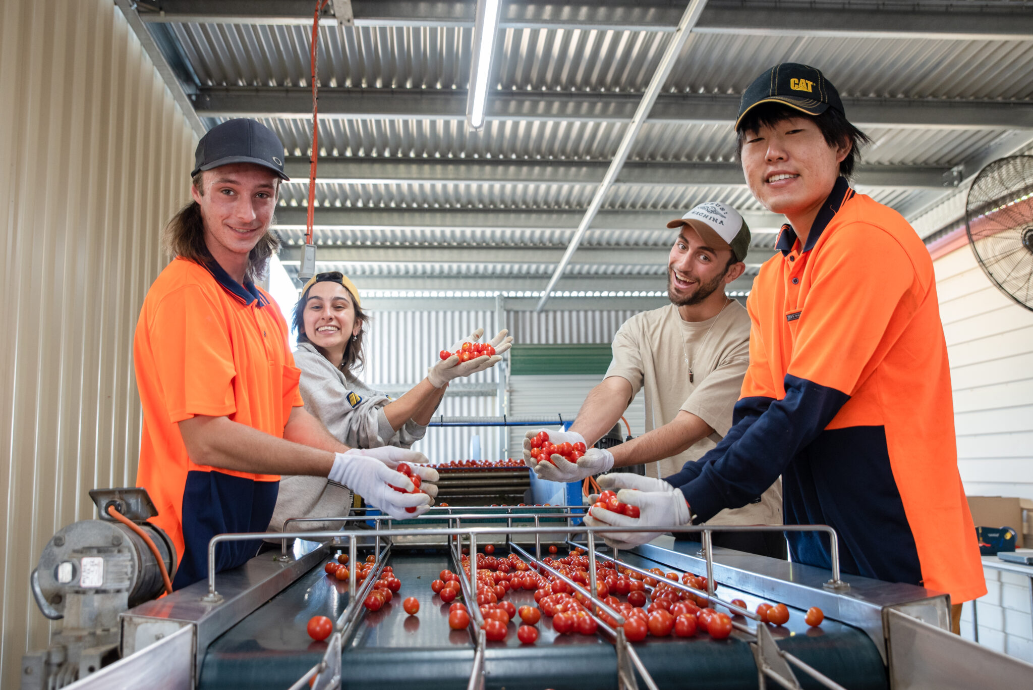 Bowen Gumlu Growers Association Visa Overview