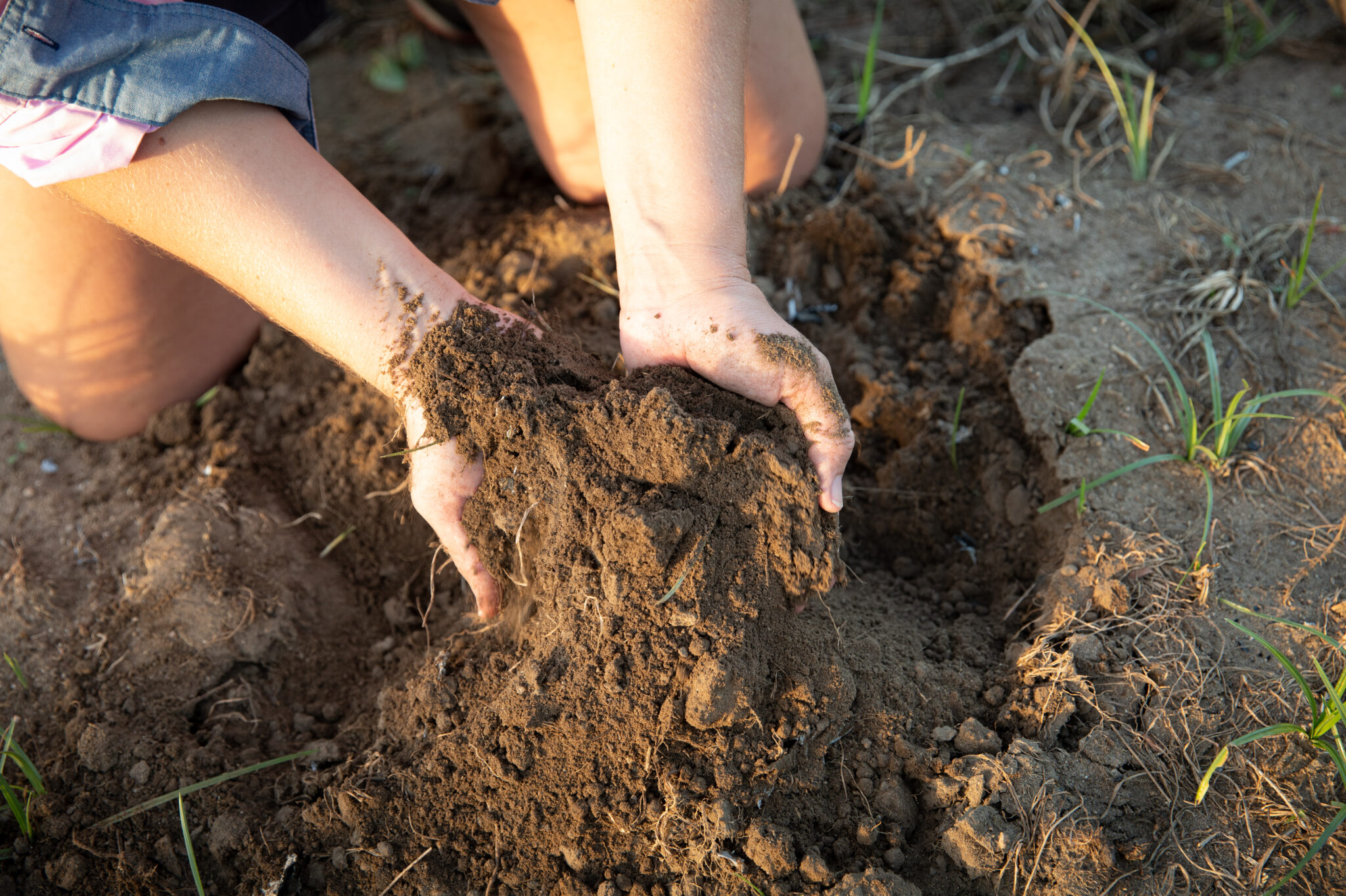 Soil Wealth resources and fact sheets