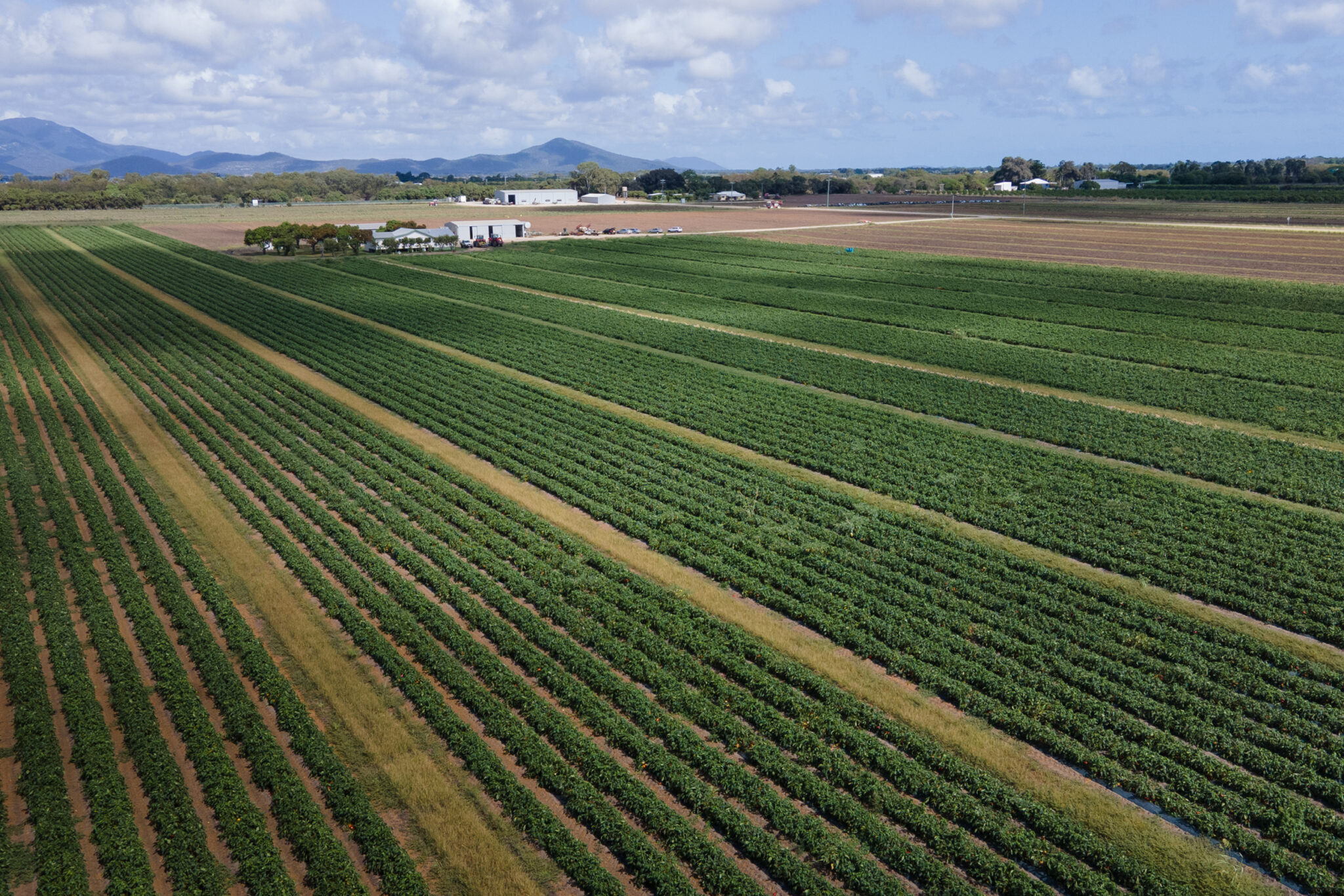 Weed Management Fact Sheet