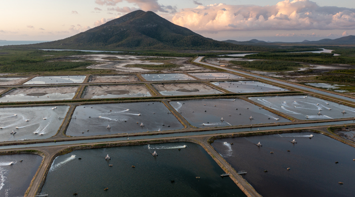 Aquaculture ponds