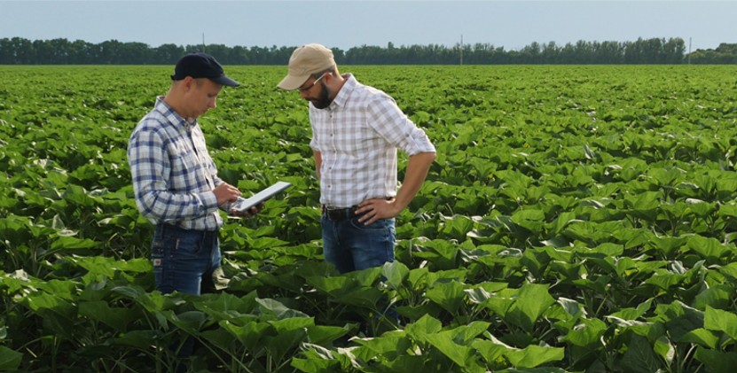 Have Your Say: 2025 Vegetable Industry Sentiment Survey 