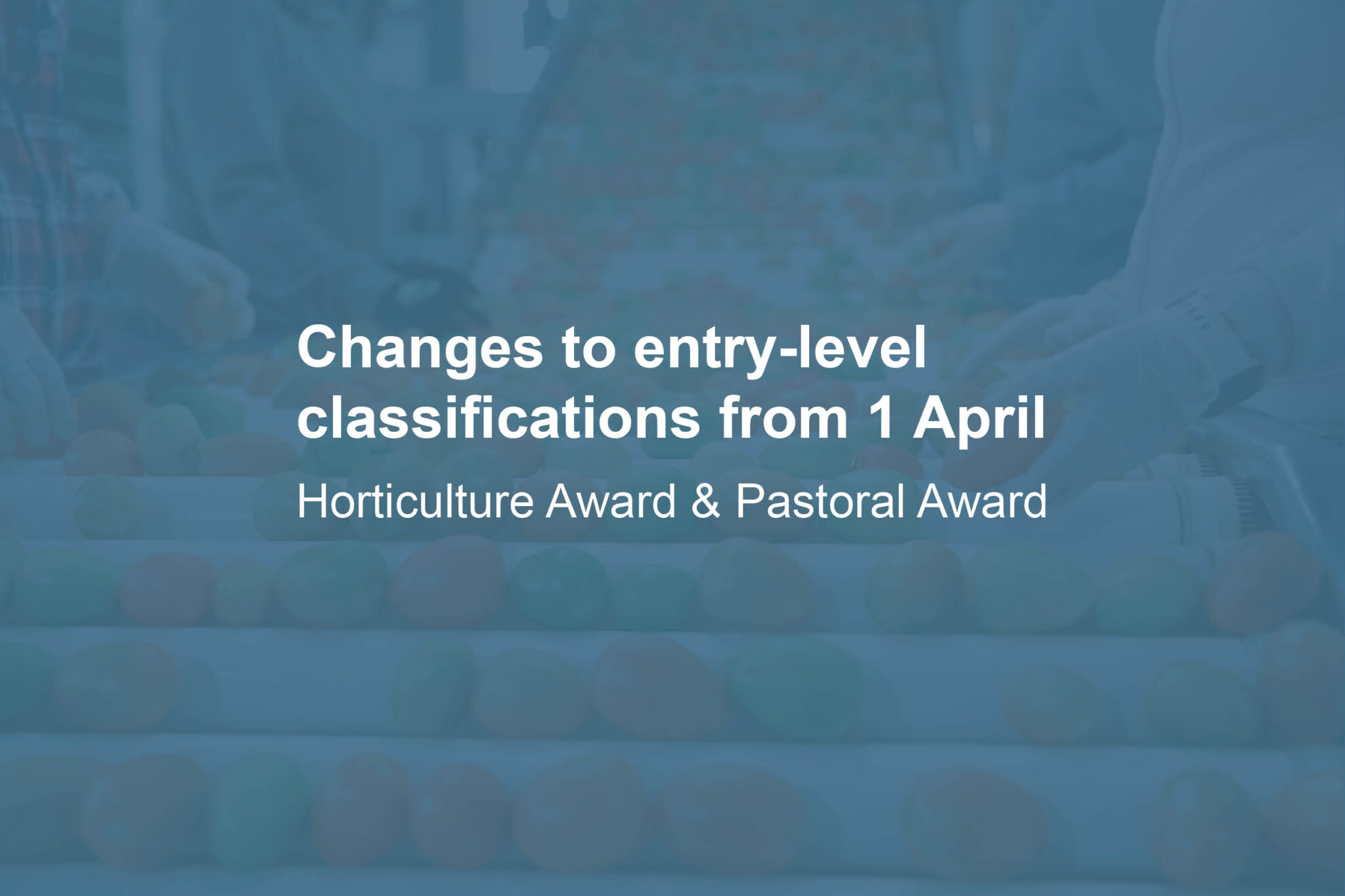 Important Update: Changes to the Horticulture and Pastoral Awards from 1 April 2025